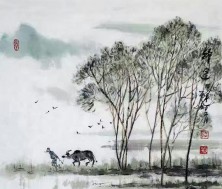 夾絲玻璃